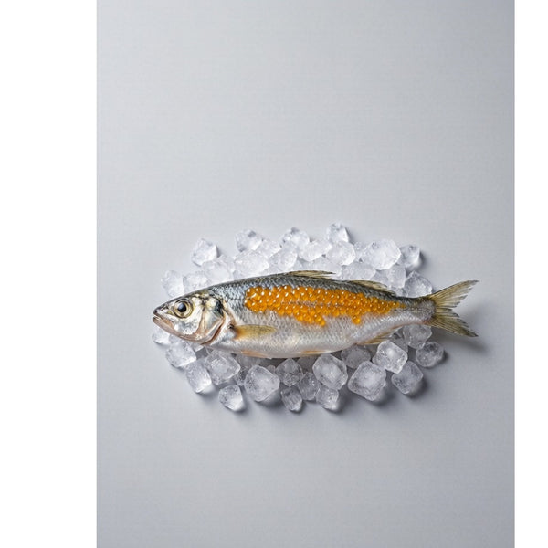 Roe-Filled Capelin