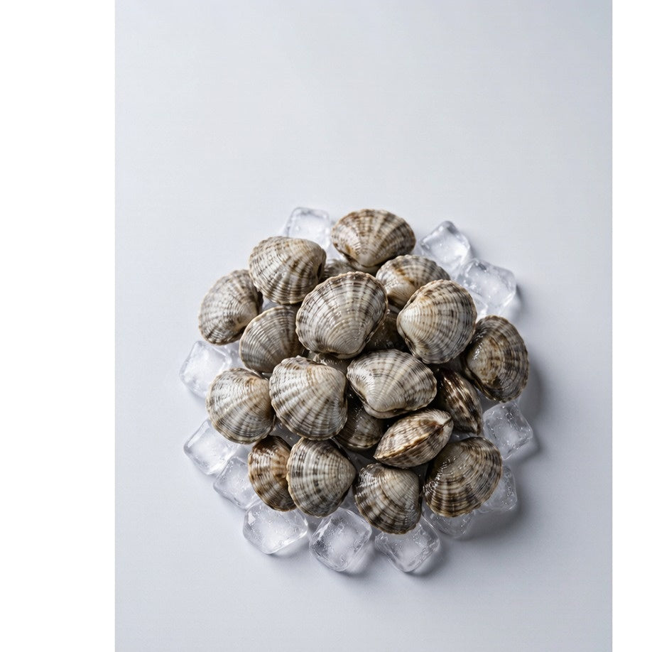 Fresh Clams