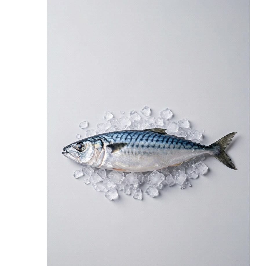 Whole Mackerel