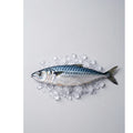 Whole Mackerel