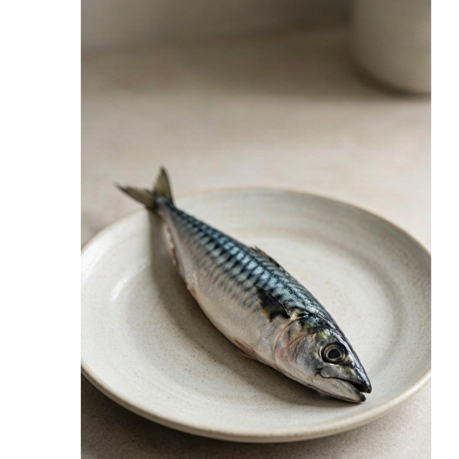 Whole Mackerel