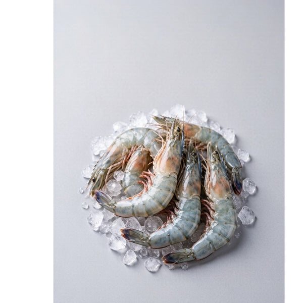 Fresh Prawns