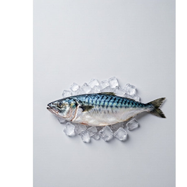 Mackerel Fillets (Saba)